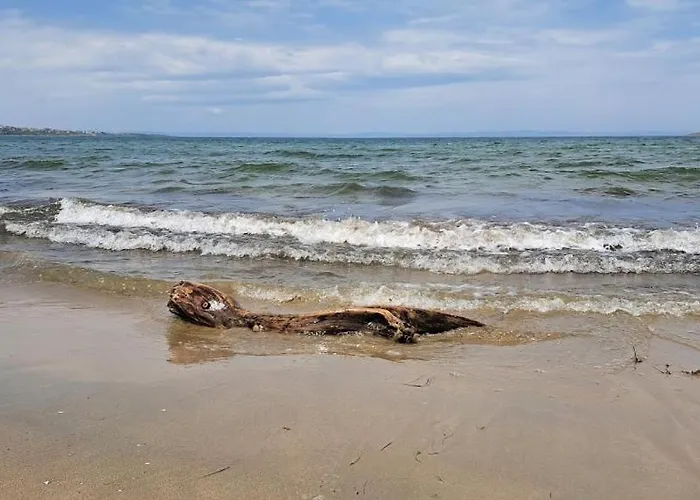 царски бриз 公寓